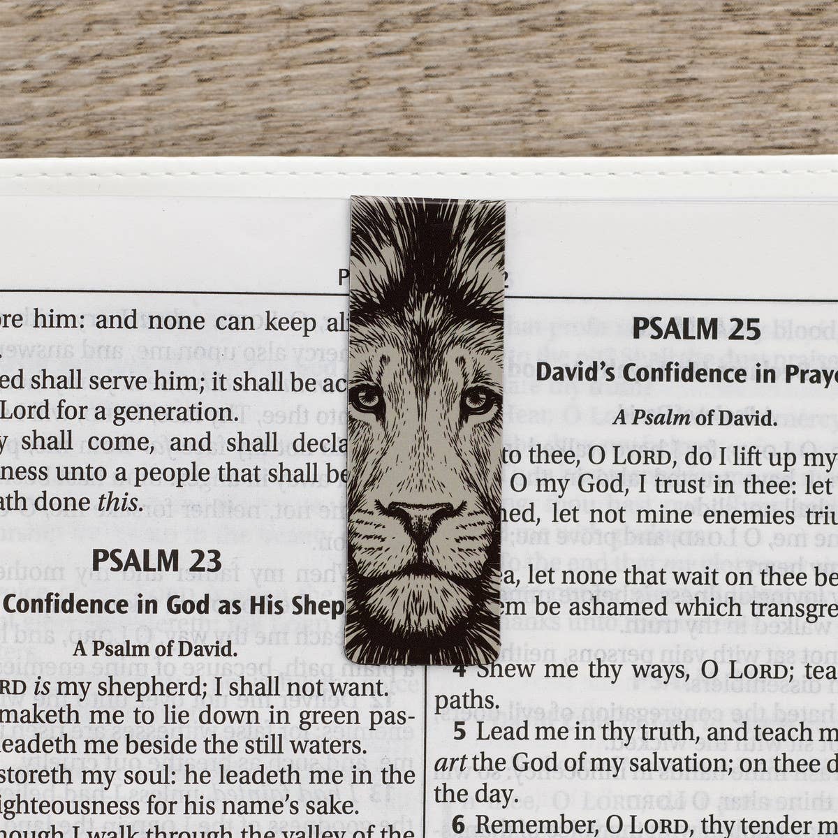 Strong and Courageous Magnetic Bookmark Set - Joshua 1:9