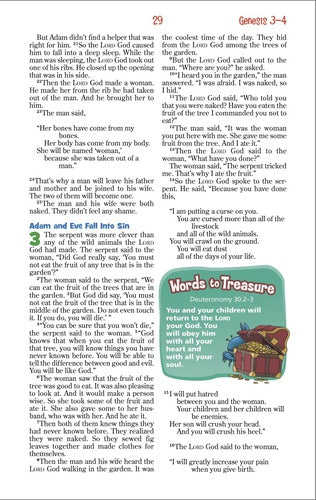 Kids NIV Adventure Bible for Early Readers- Hardback