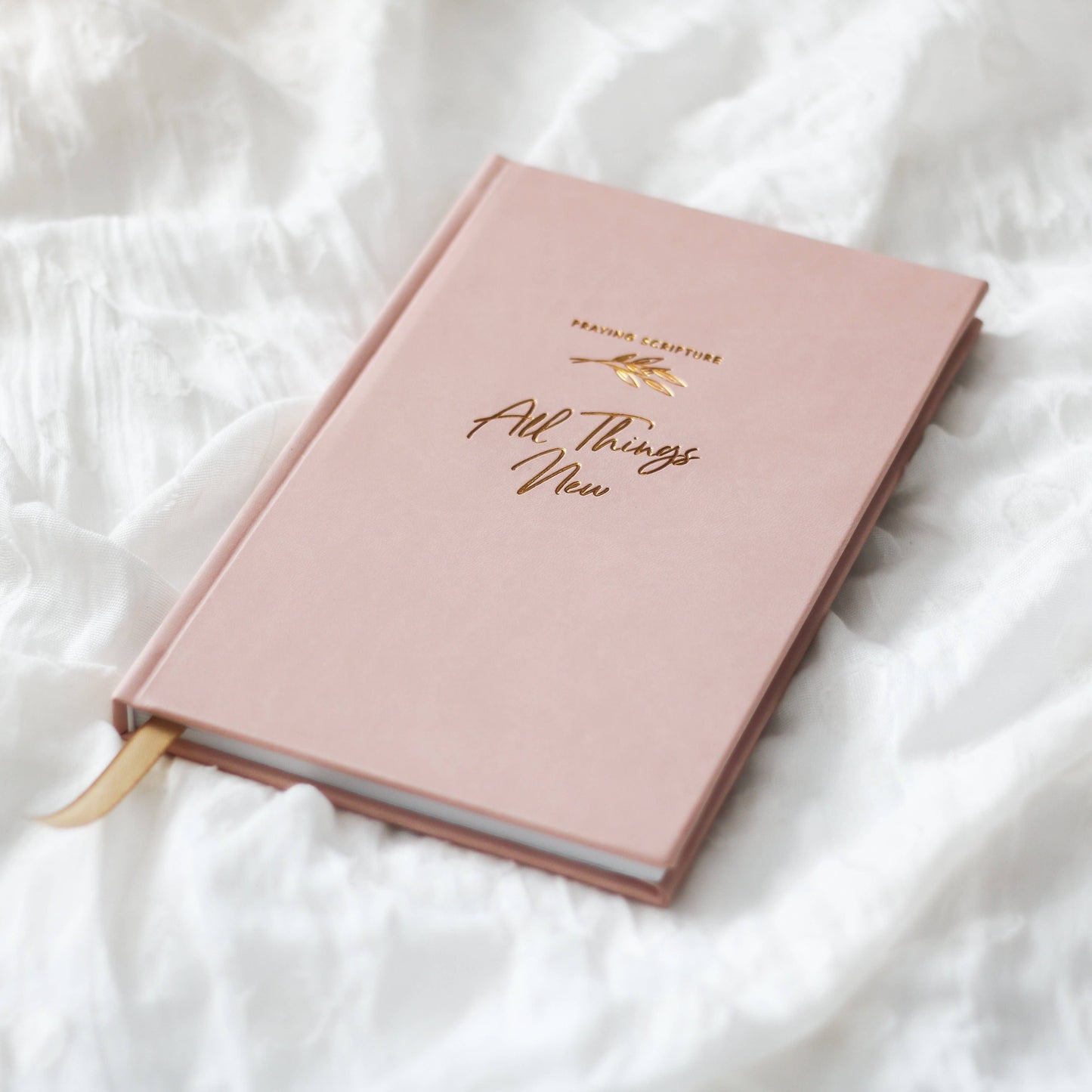 All Things New  | Praying Scripture Journal